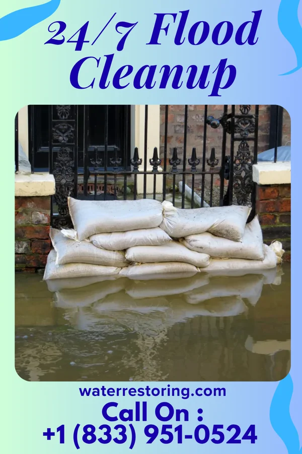 24/7 Flood Cleanup in Deer River, MN